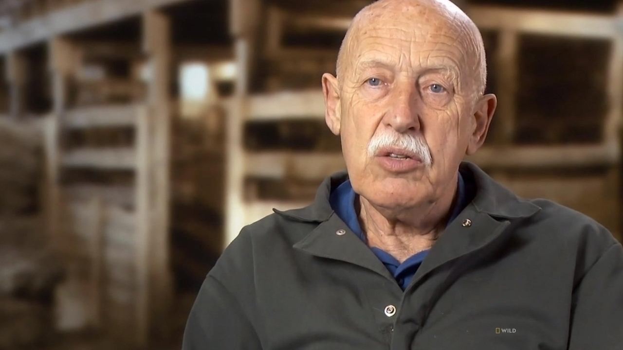 The Incredible Dr. Pol - Season 13 Episode 11 : You Can't Handle the Tooth