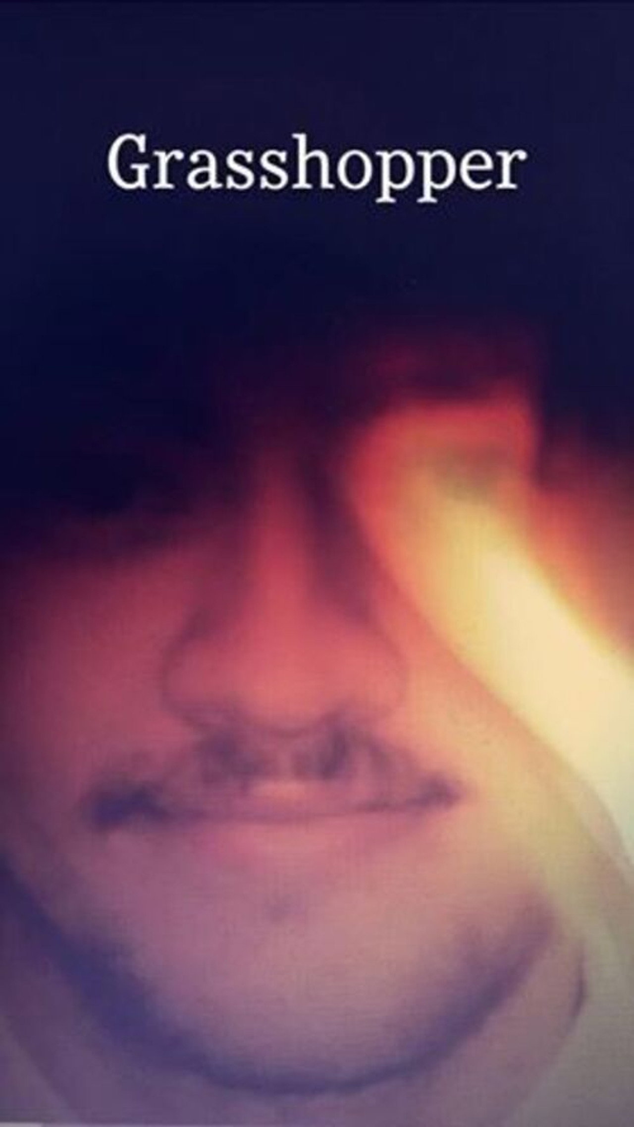 Grasshopper Backdrop