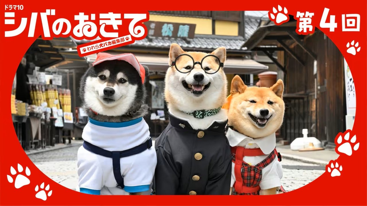 Shiba no Okite: Warera Inu Baka Henshu Bu - Season 1 Episode 4 : Episode 4