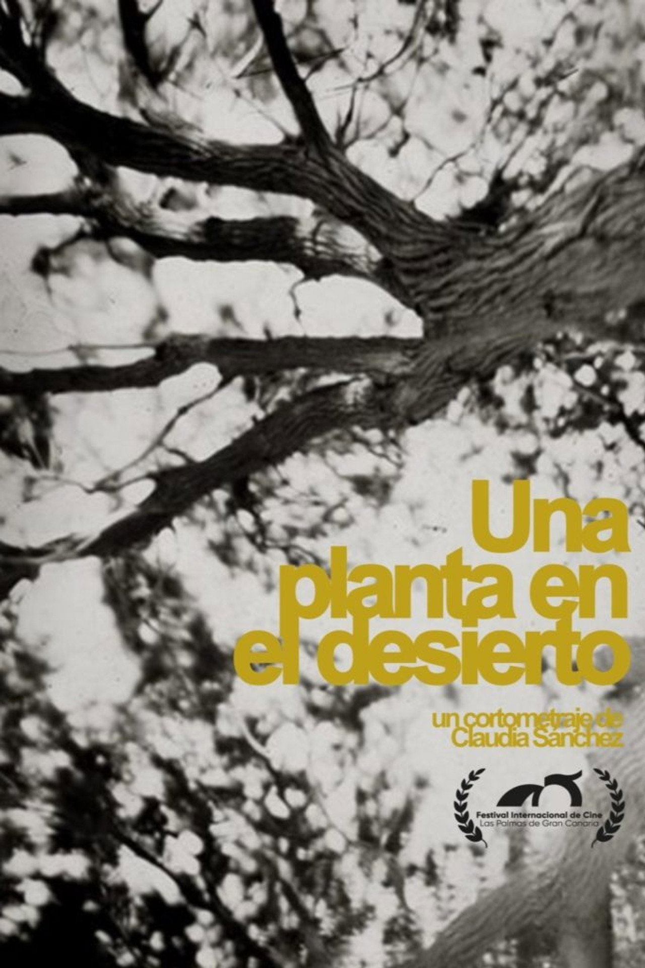 A plant in the desert Backdrop