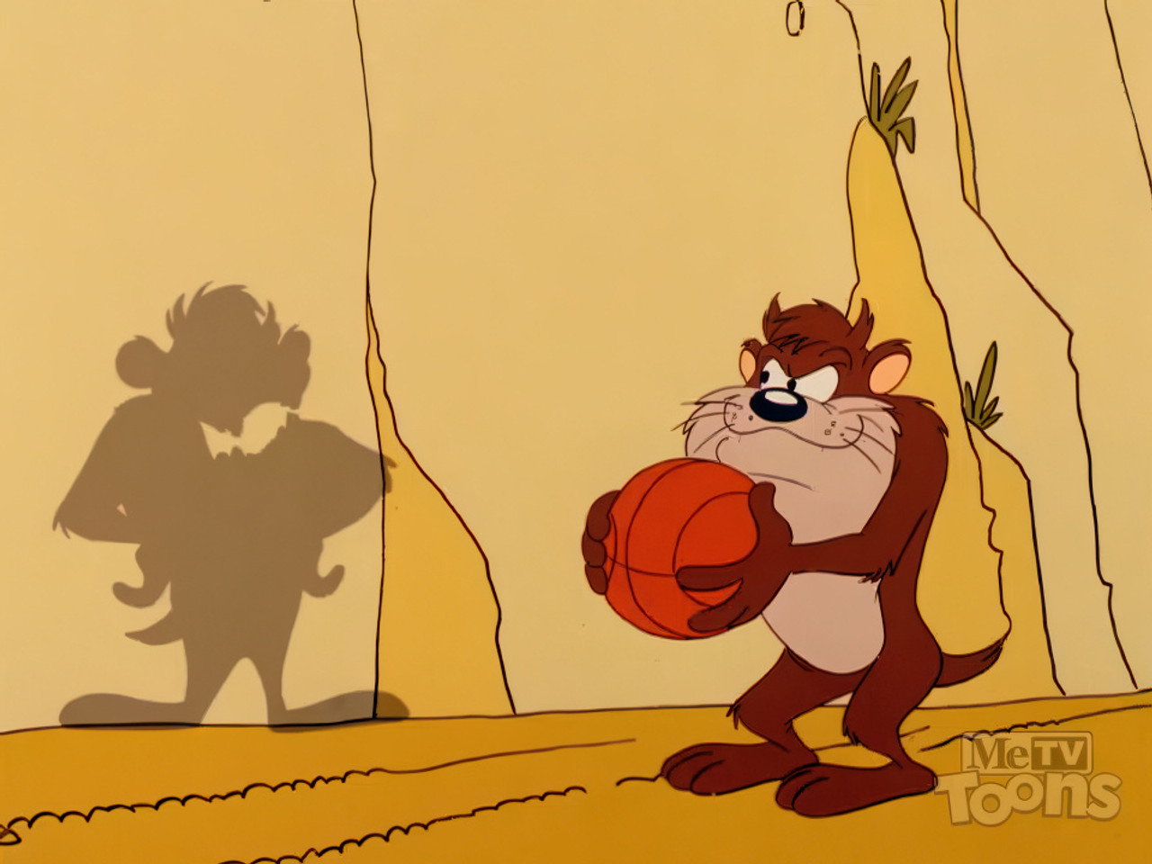 Not a Shadow of a Doubt