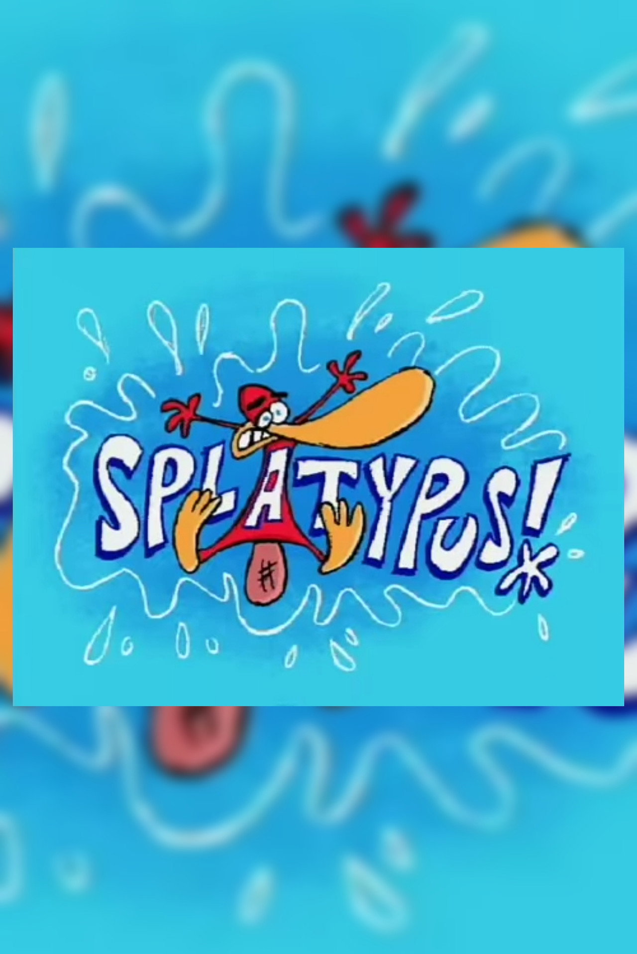 Splatypus