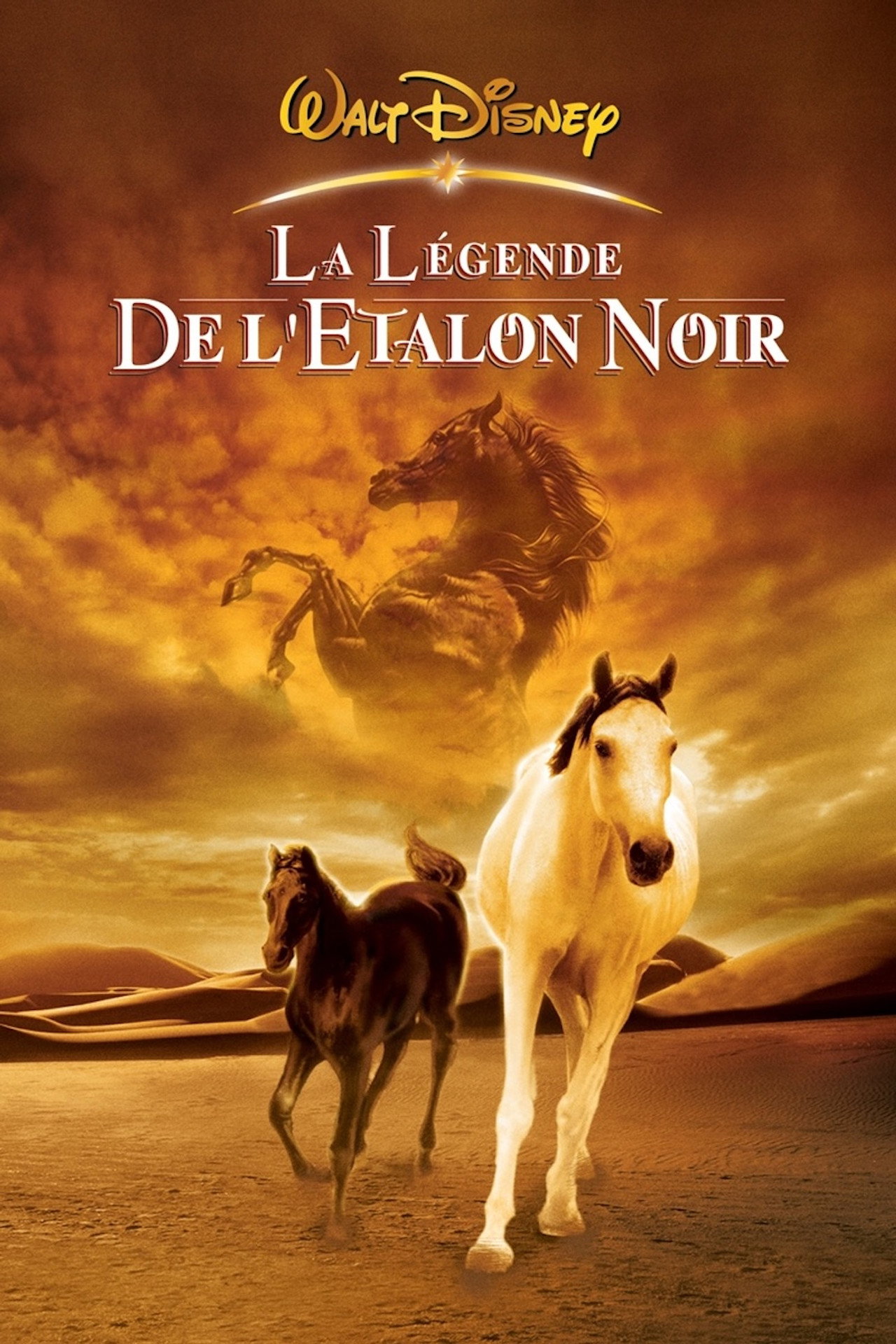 La légende de l'étalon noir poster