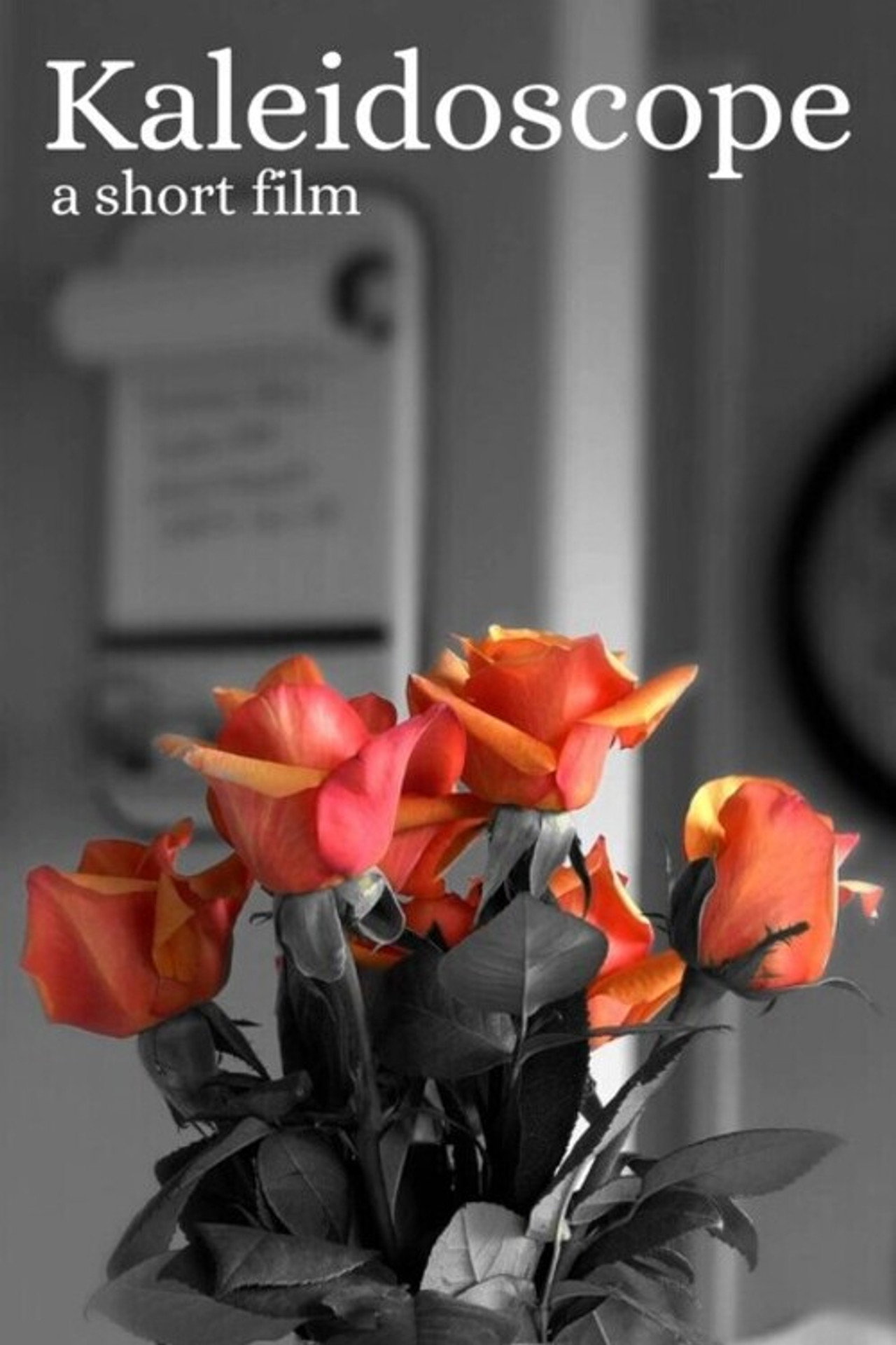 Kaleidoscope Backdrop