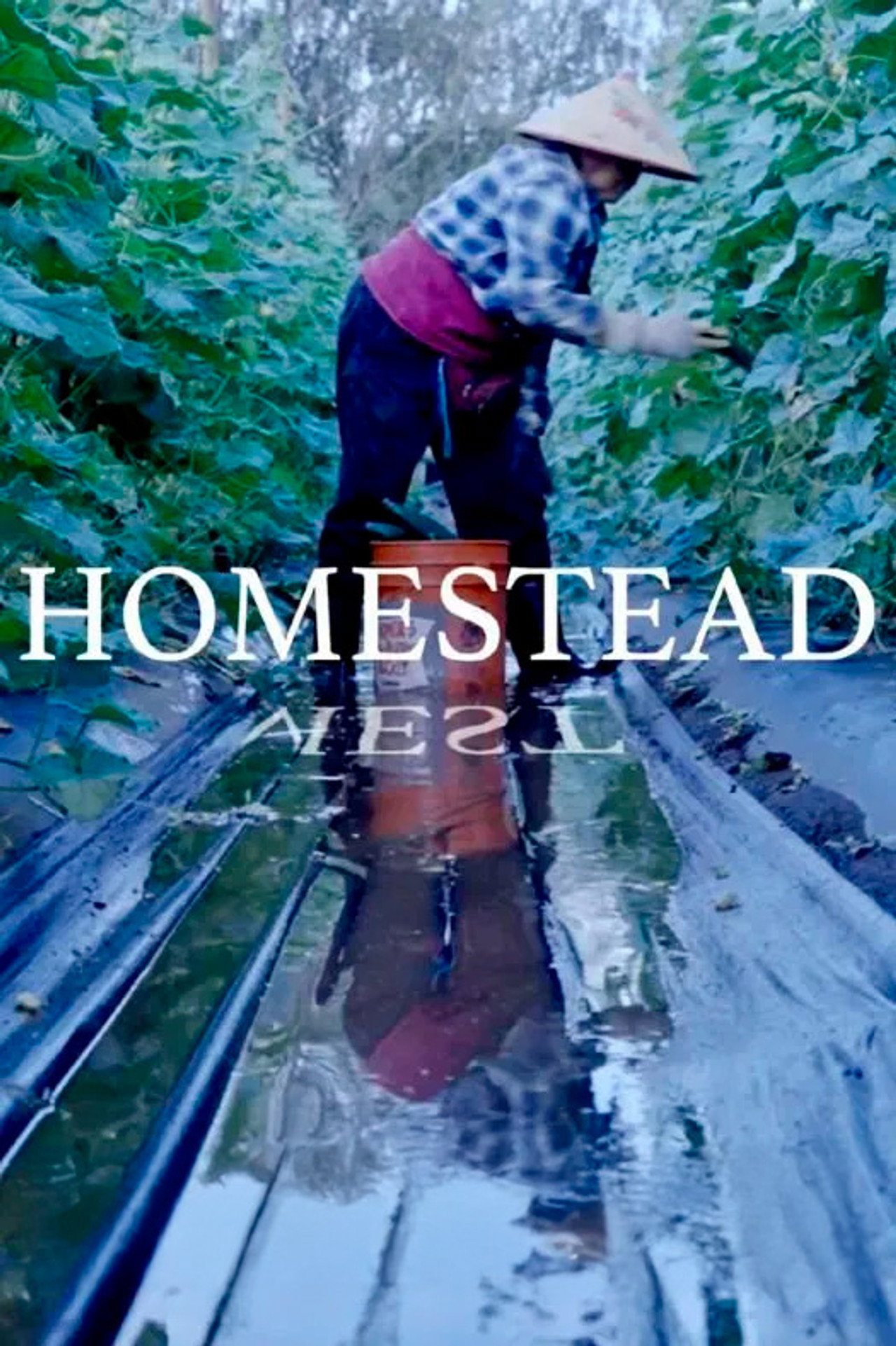 Homestead filmaffisch