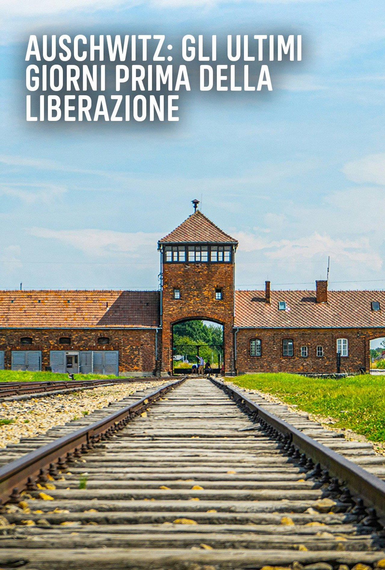 Auschwitz: Countdown to Liberation Backdrop