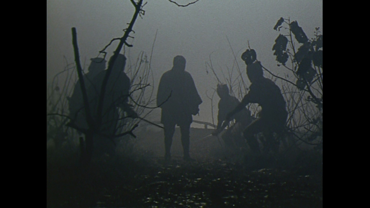 座頭市物語 backdrop