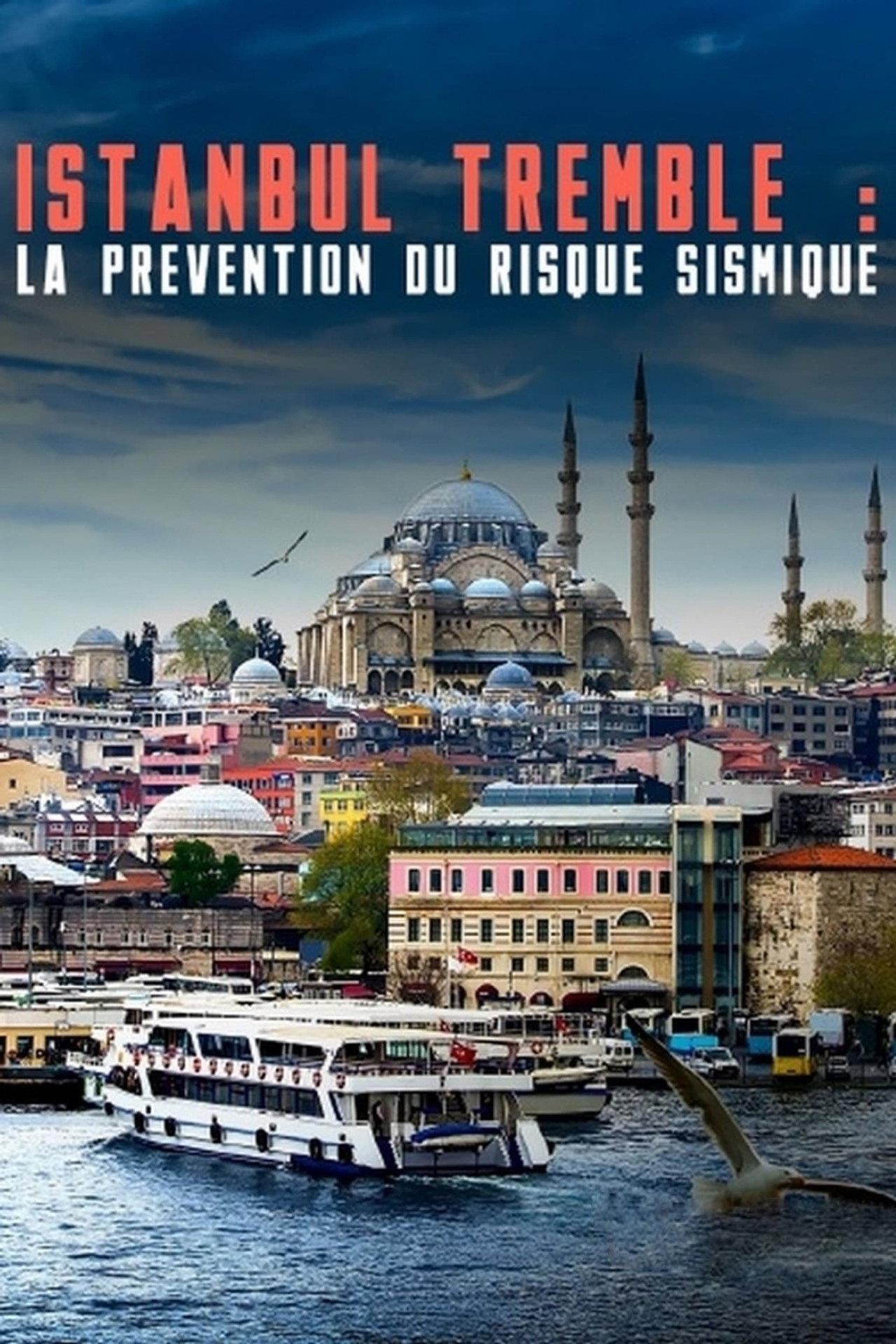 Istanbul tremble : La prévention du risque sismique filmaffisch