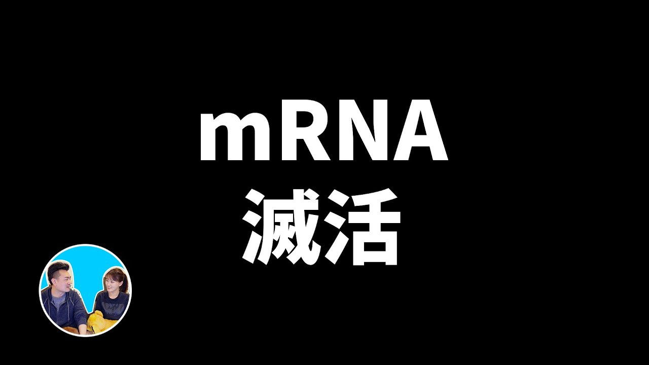 老高与小茉 — Épisode 182