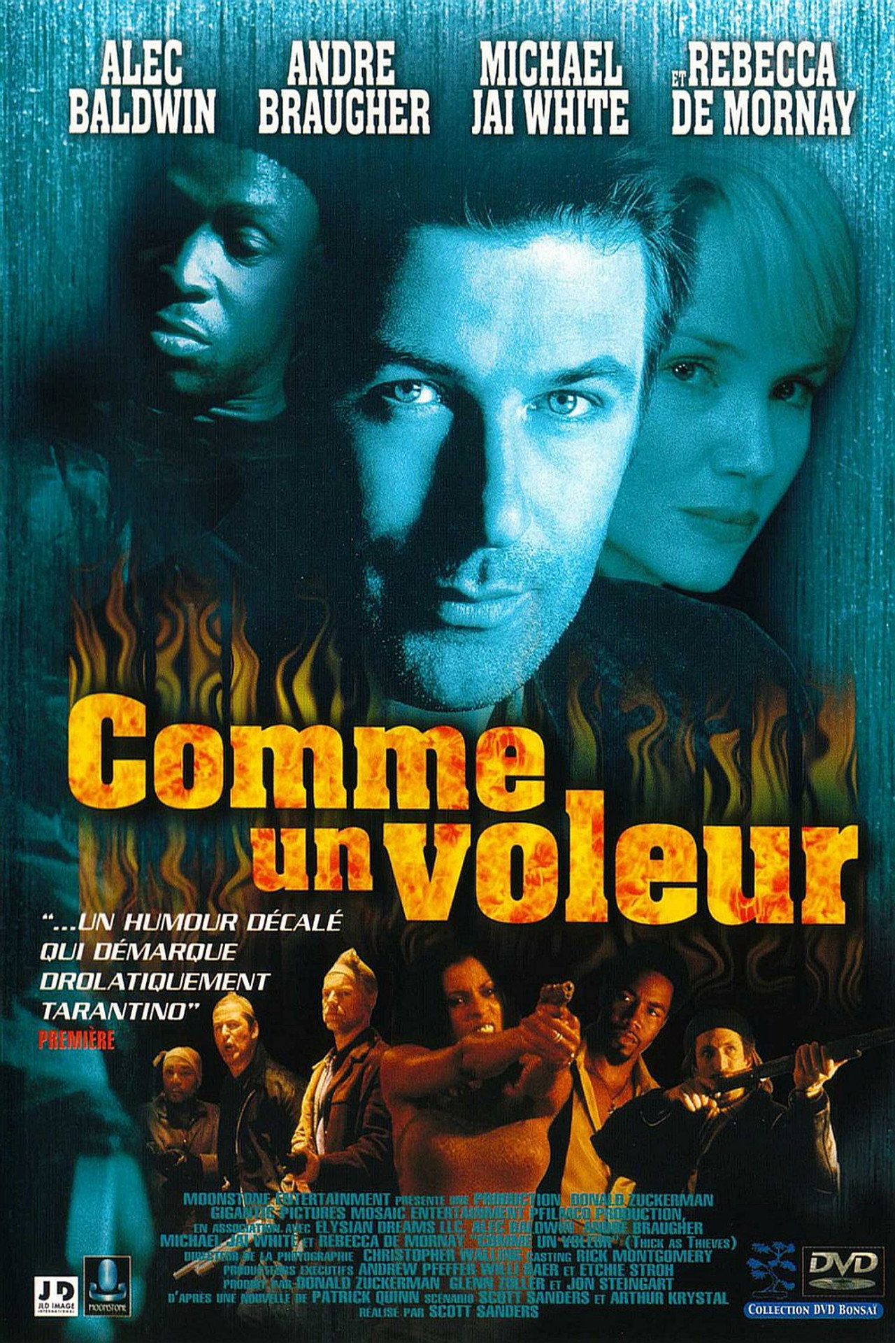 Comme un voleur poster