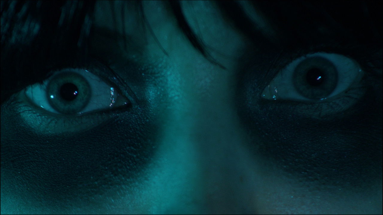 Cast and Crew of A Forest