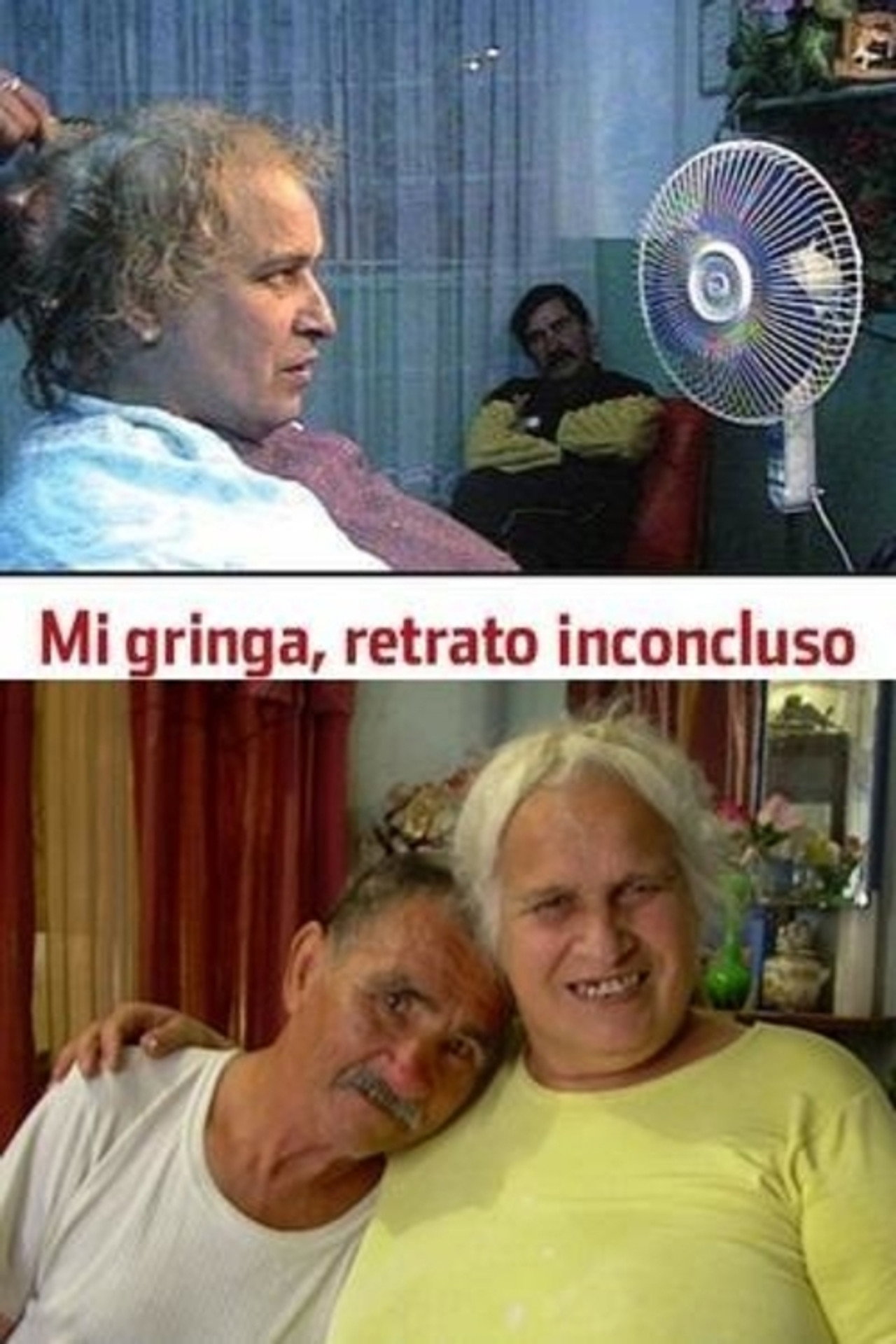 Mi Gringa, Retrato Inconcluso filmaffisch