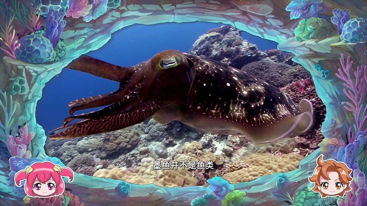 巴啦啦小魔仙魔法海洋馆 — Épisode 25
