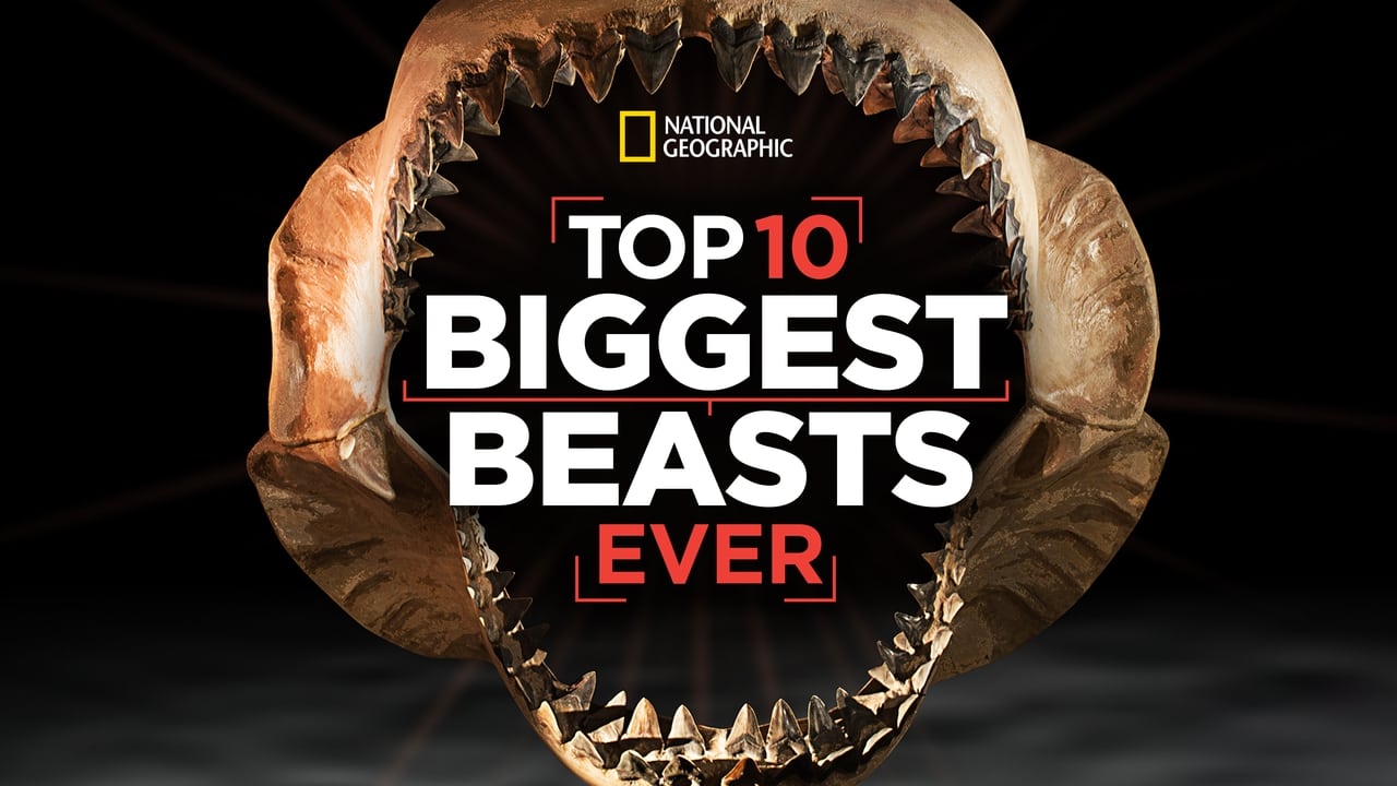 Top 10 Biggest Beasts Ever background