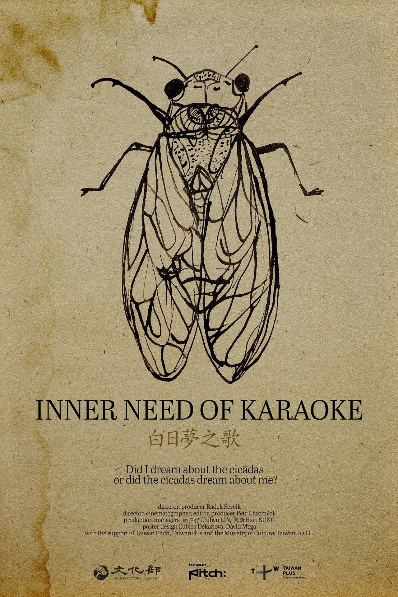 Inner Need of Karaoke