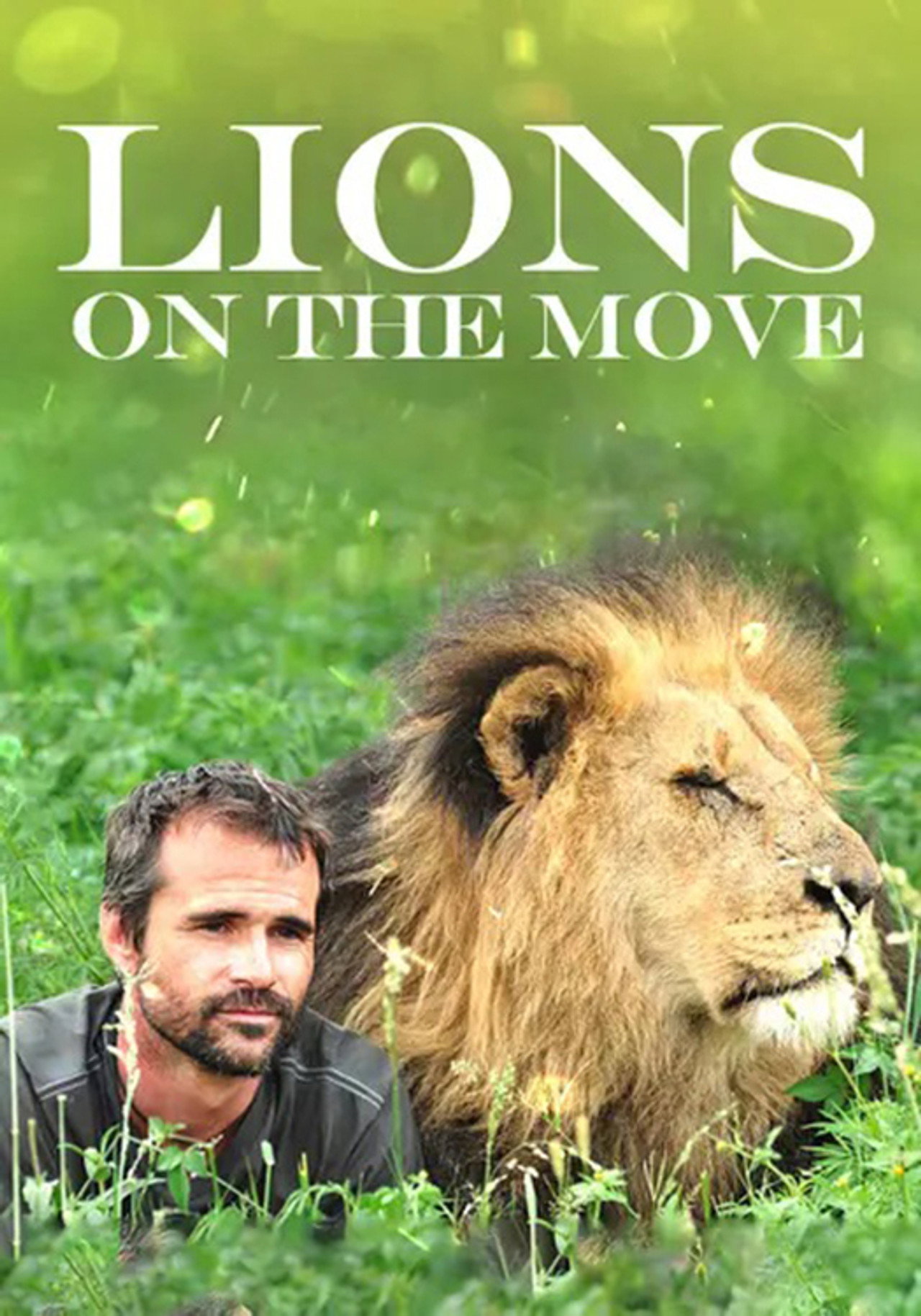 Lions on the Move filmaffisch