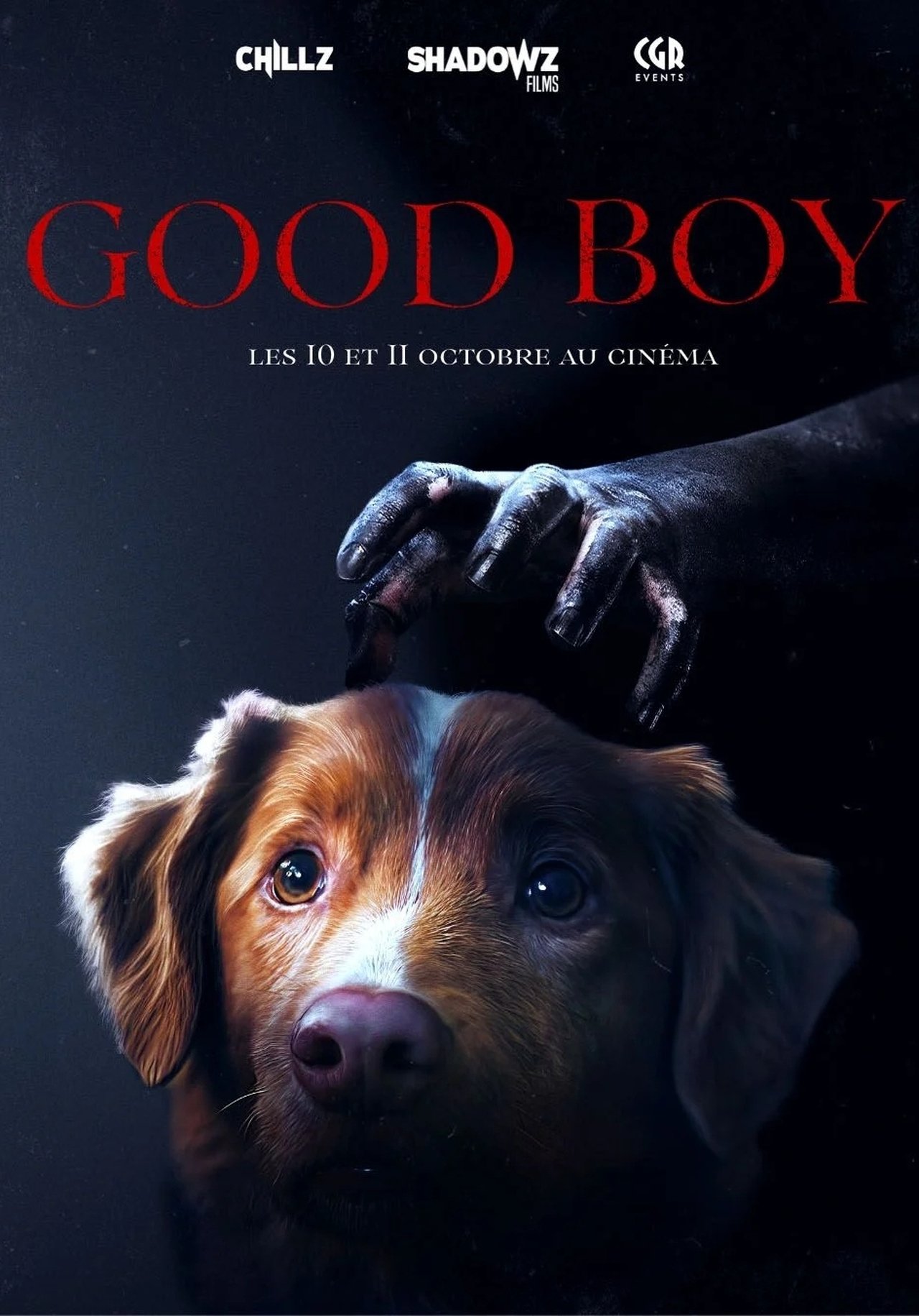 Good Boy