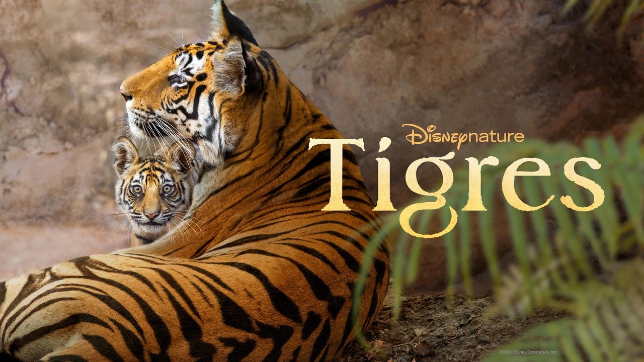 title image