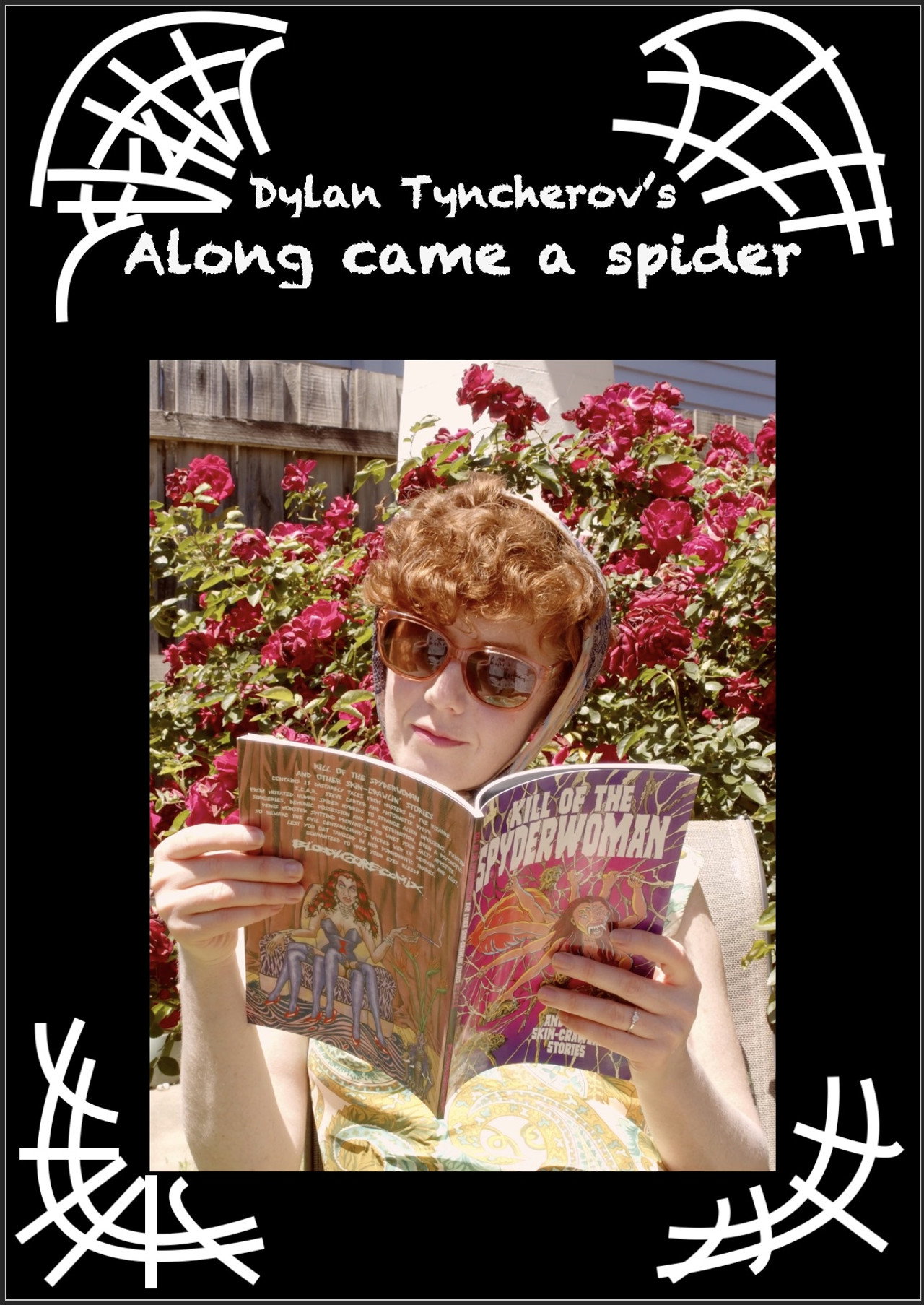Along came a spider filmaffisch