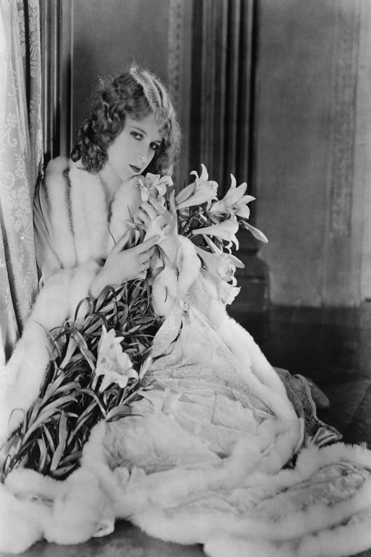 Die Königsloge Backdrop