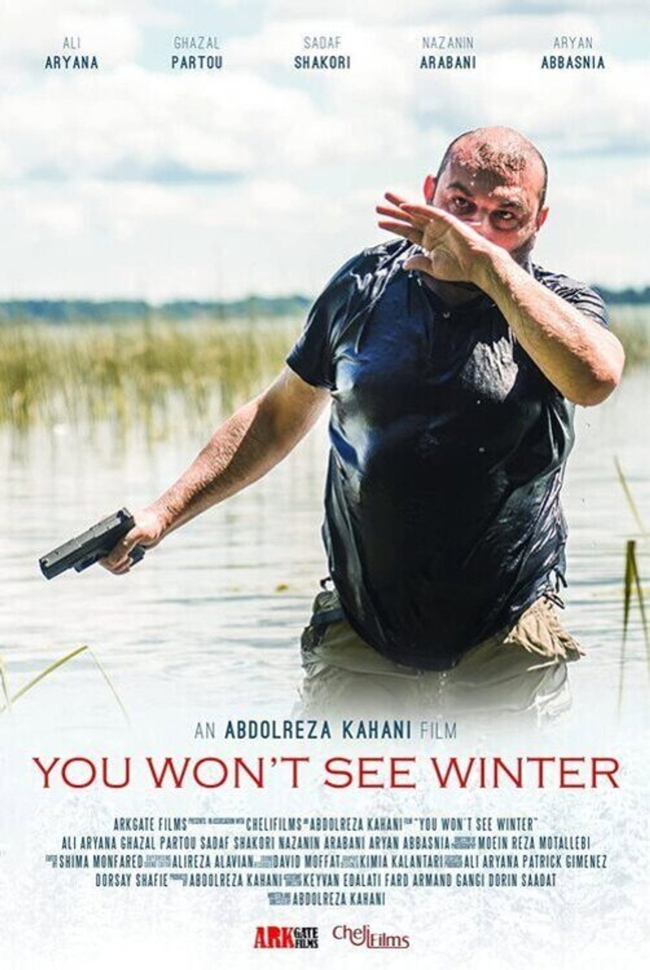 You Won't See Winter filmaffisch