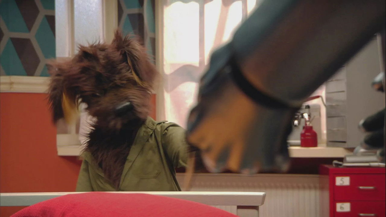 Welkom in de Wilton — Épisode 20