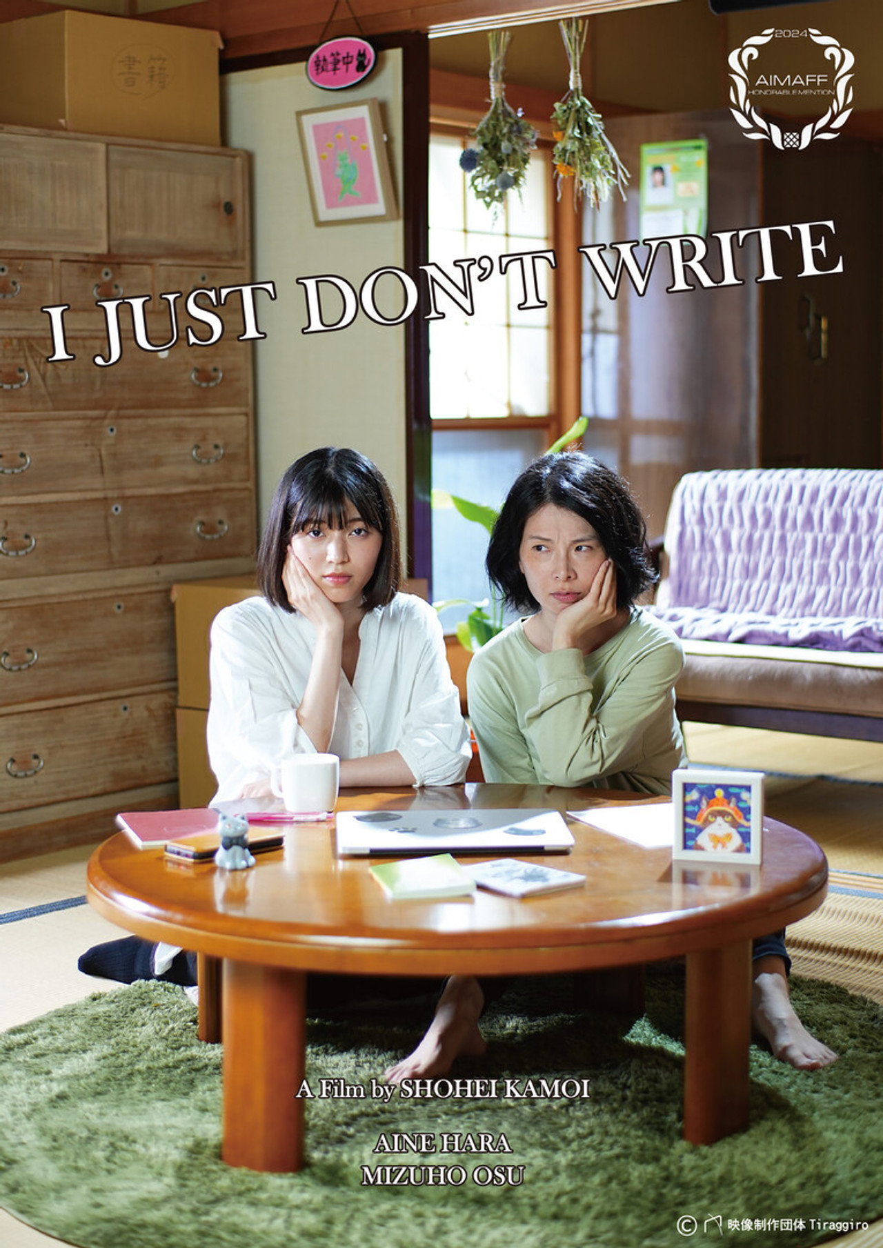 I JUST DON'T WRITE