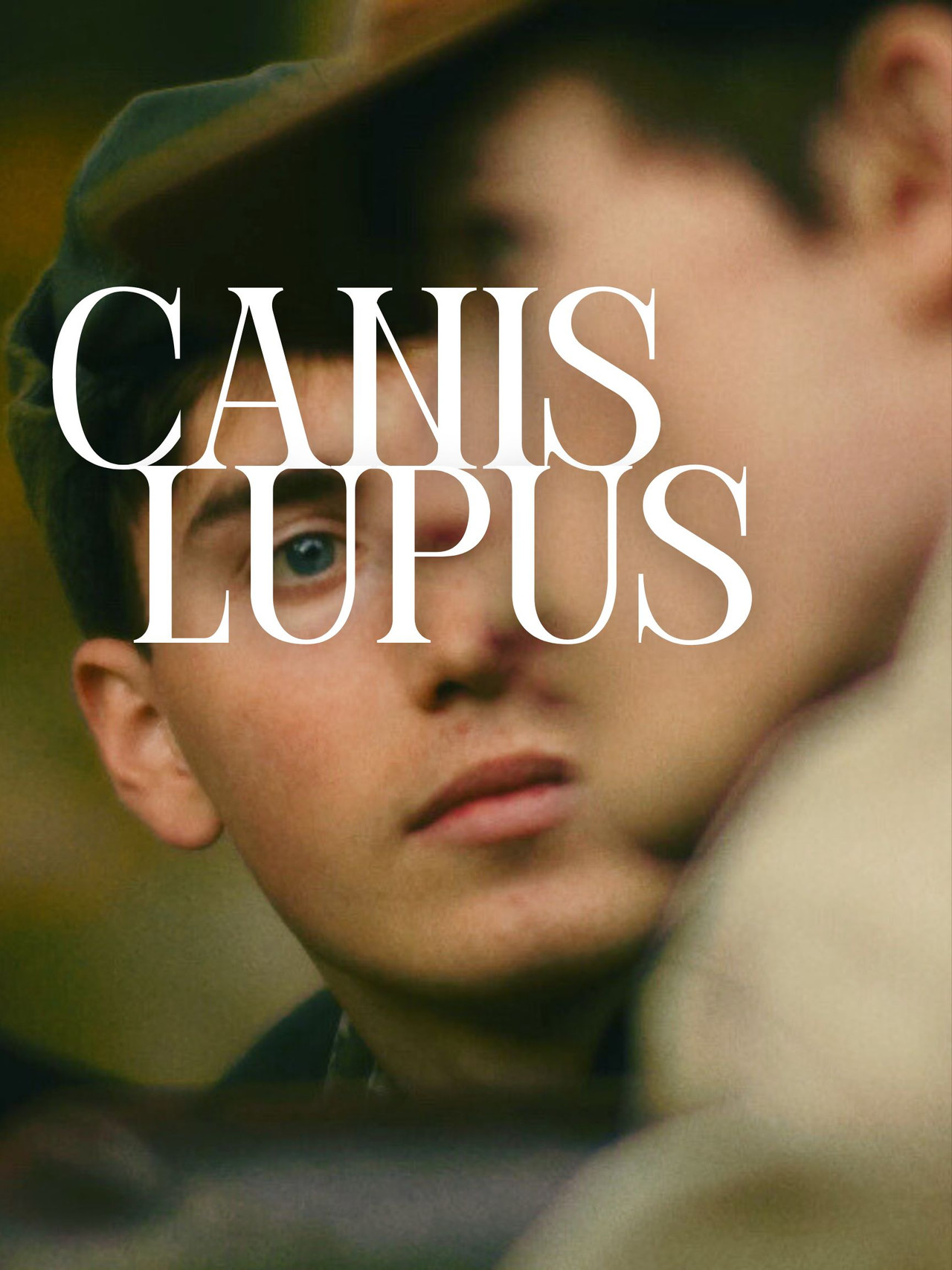 Canis Lupus filmaffisch