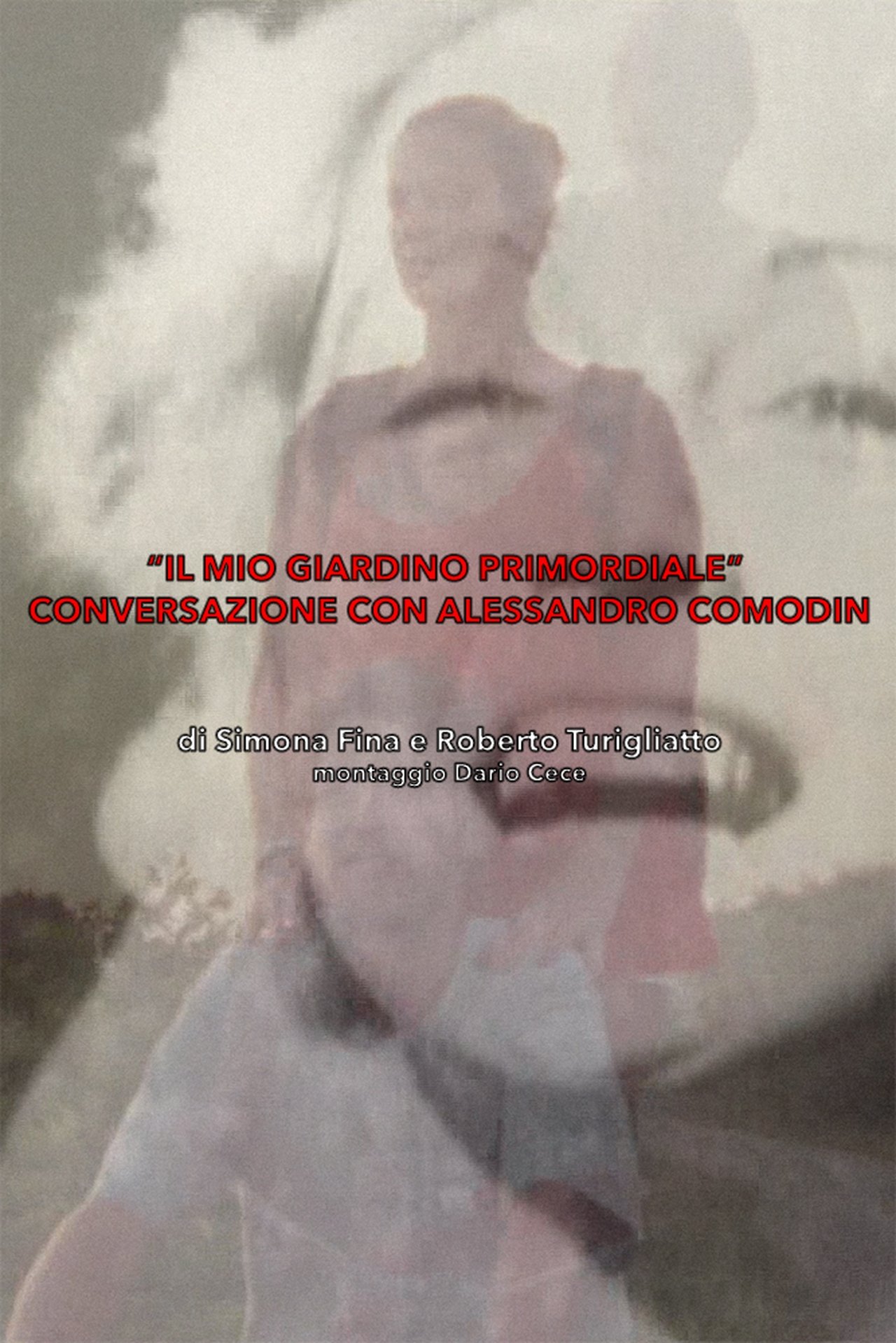Il Mio Giardino Primordiale : Conversazione con Alessandro Comodin Il Mio Giardino Primordiale : Conversazione con Alessandro Comodin