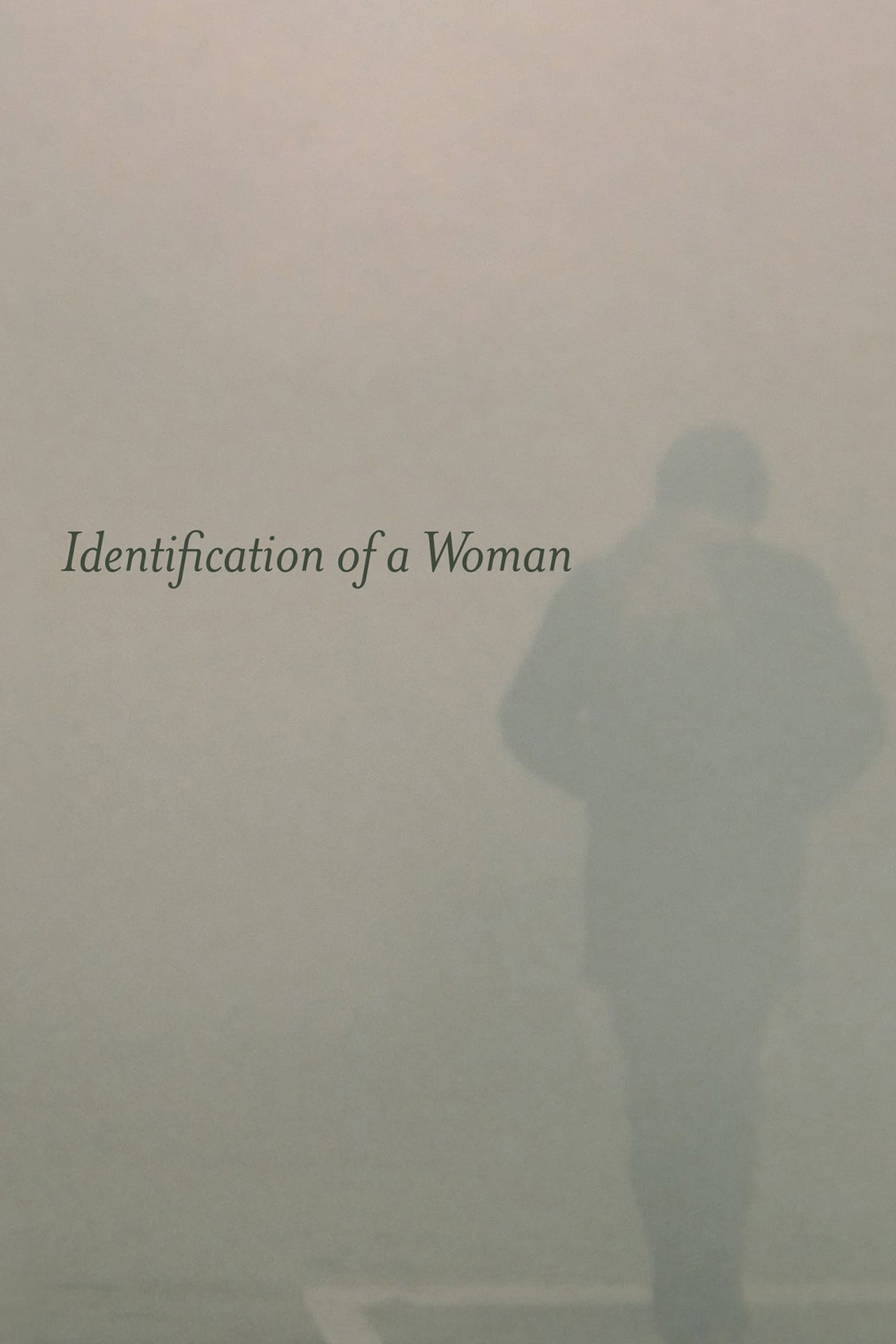 Identification of a Woman filmaffisch
