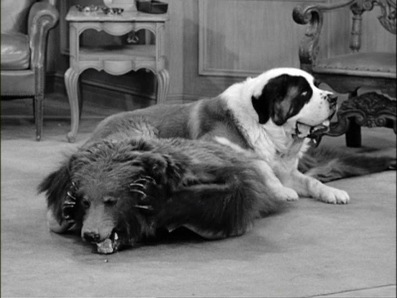 I Love Lucy - Season 4 Episode 30 : The Tour