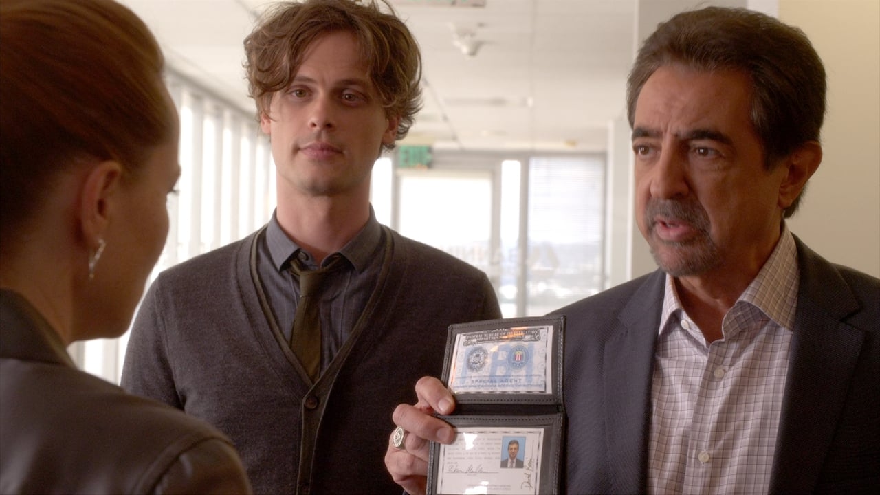 Criminal Minds - Season 11 Episode 2 : The Witness