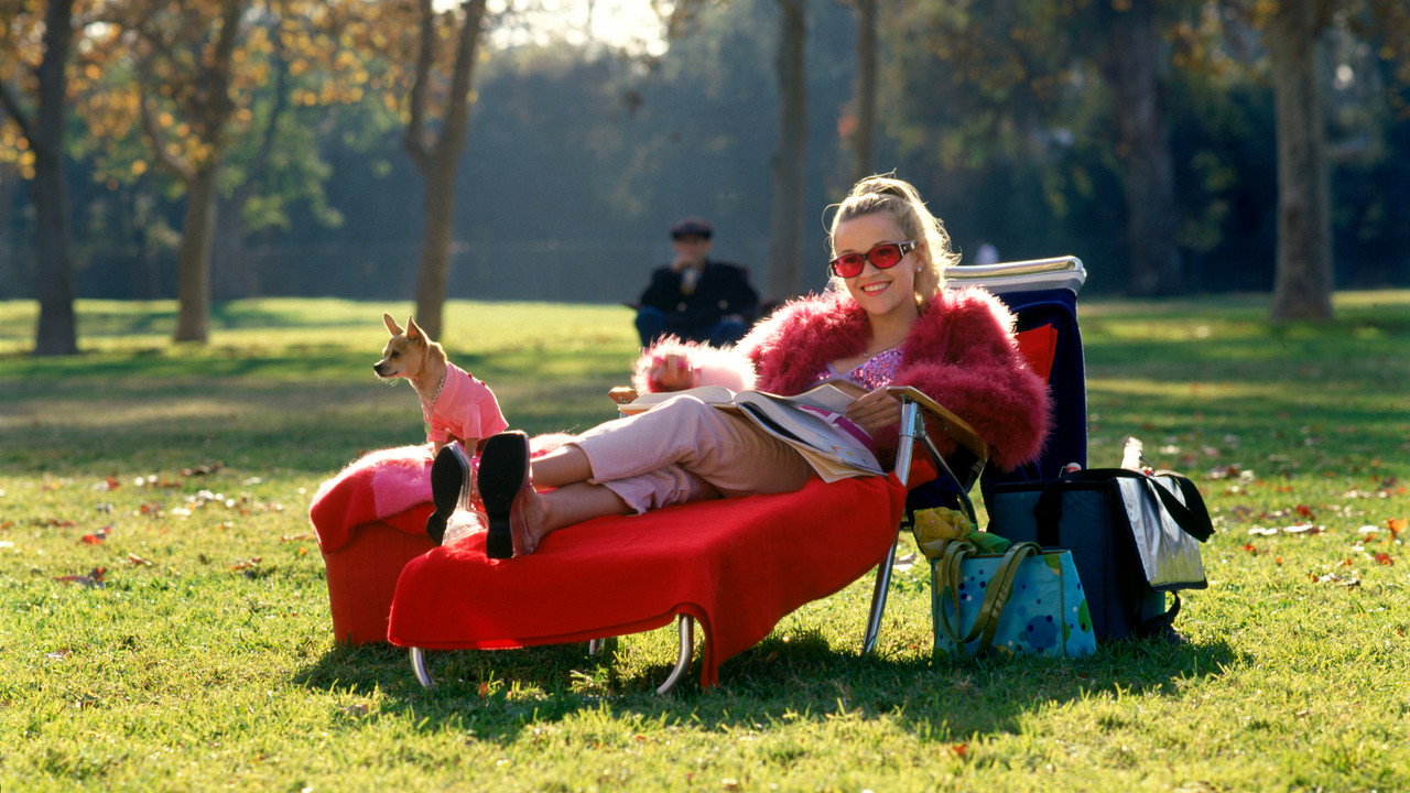 Legally Blonde background 44