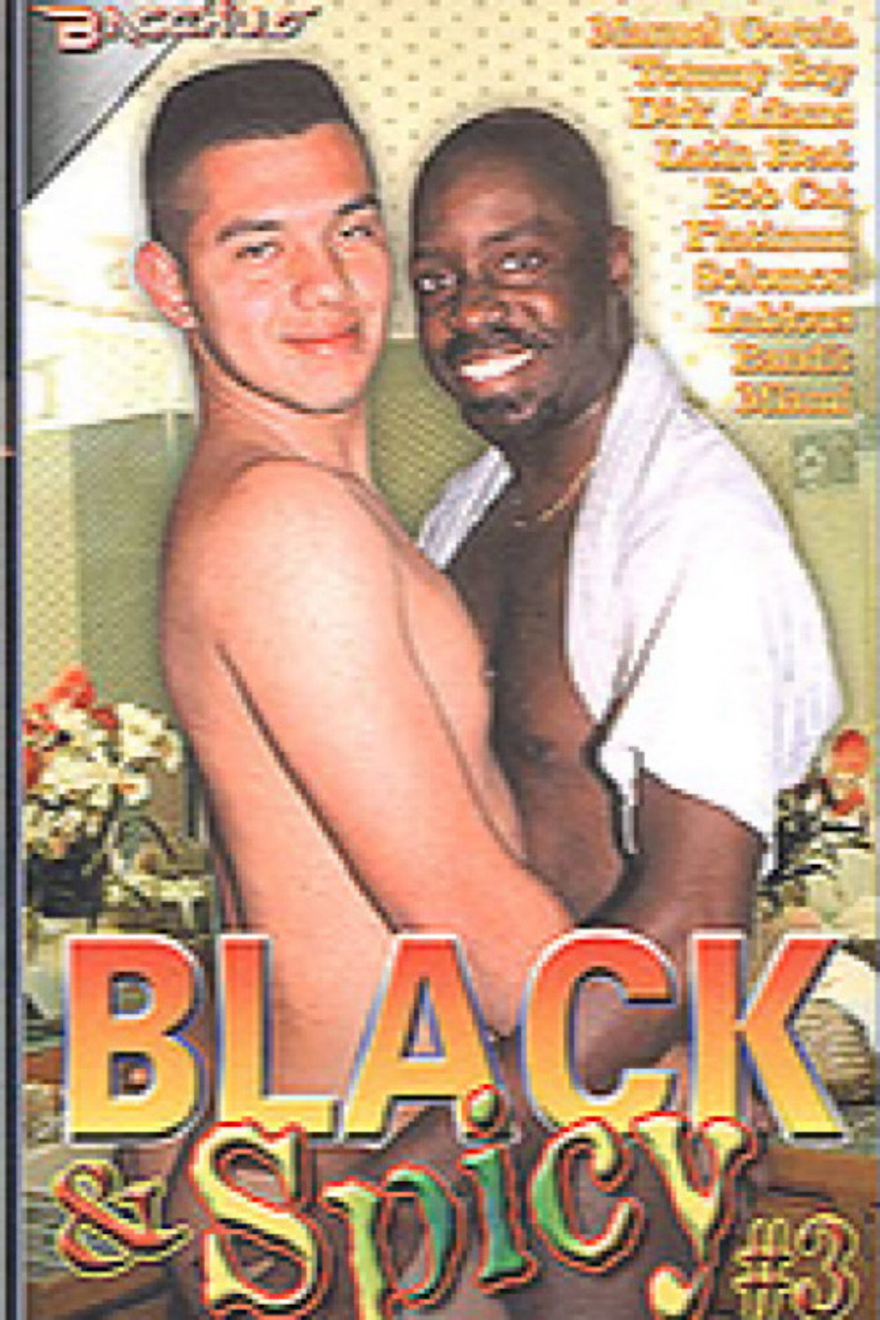 Black & Spicy 3 filmaffisch