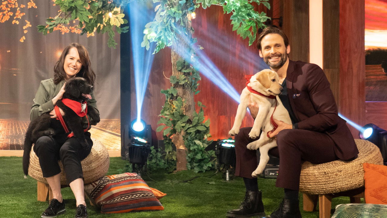 Les poilus — Épisode 7