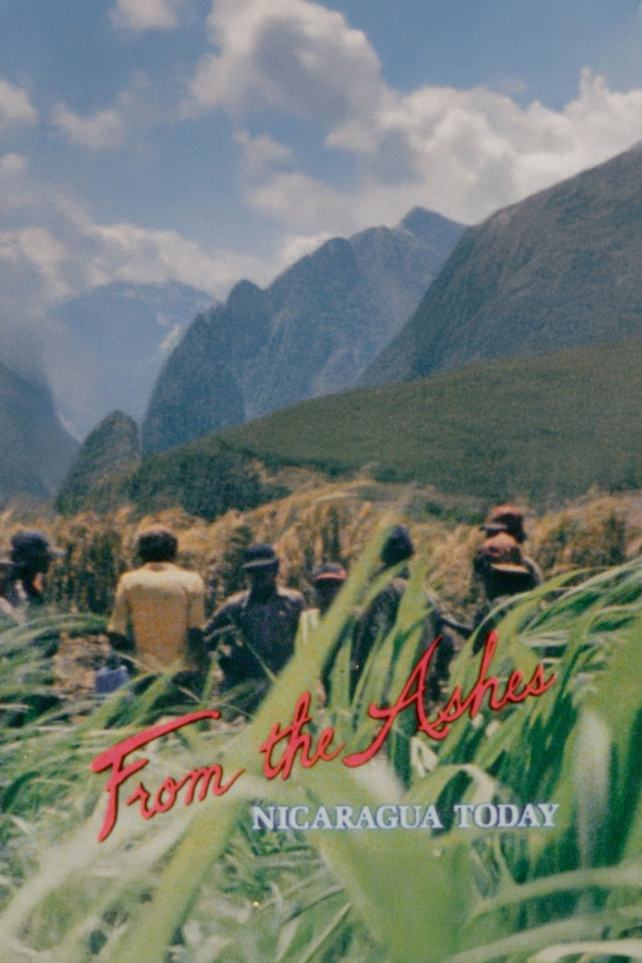 From the Ashes: Nicaragua Today Backdrop