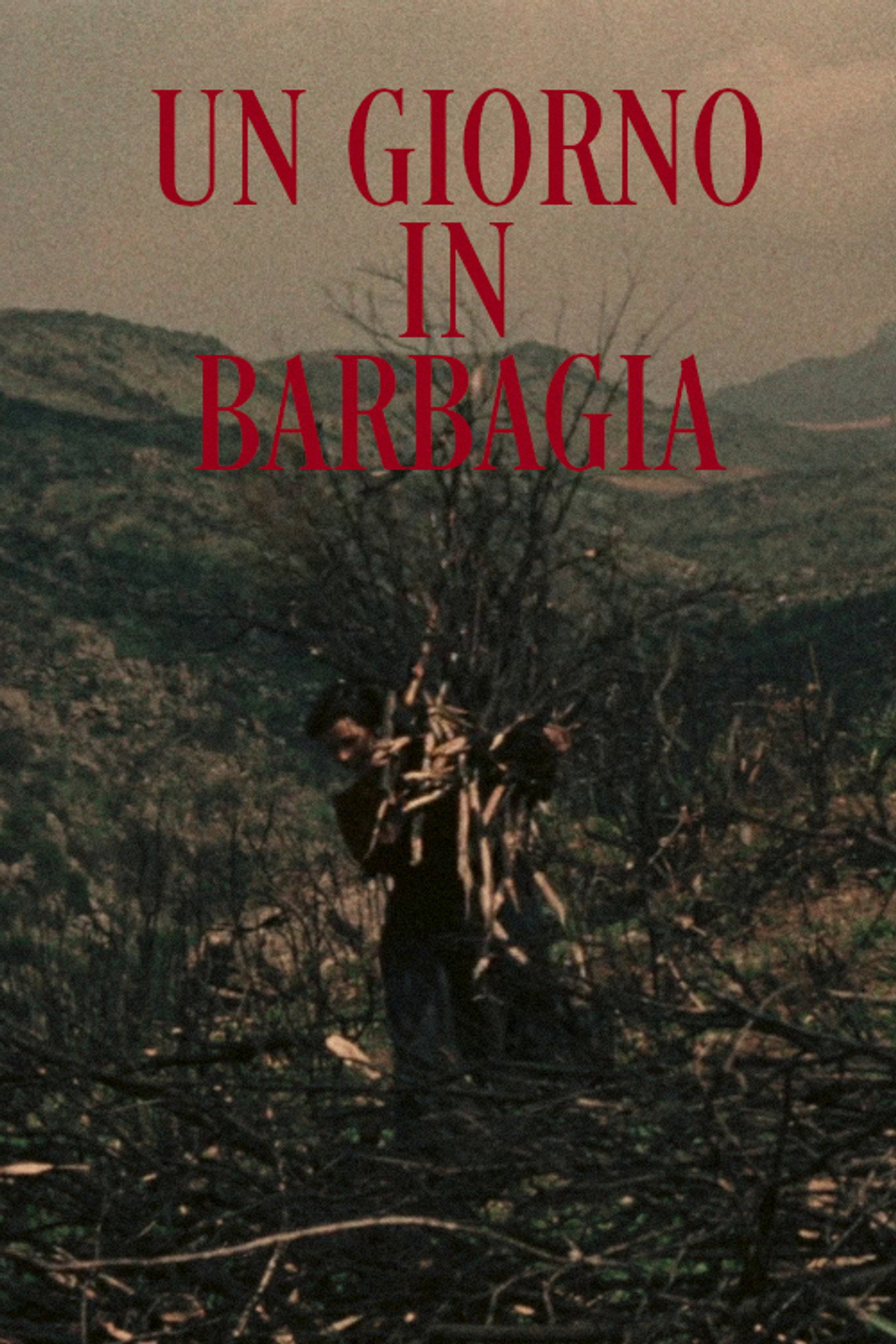 Un giorno in Barbagia filmaffisch