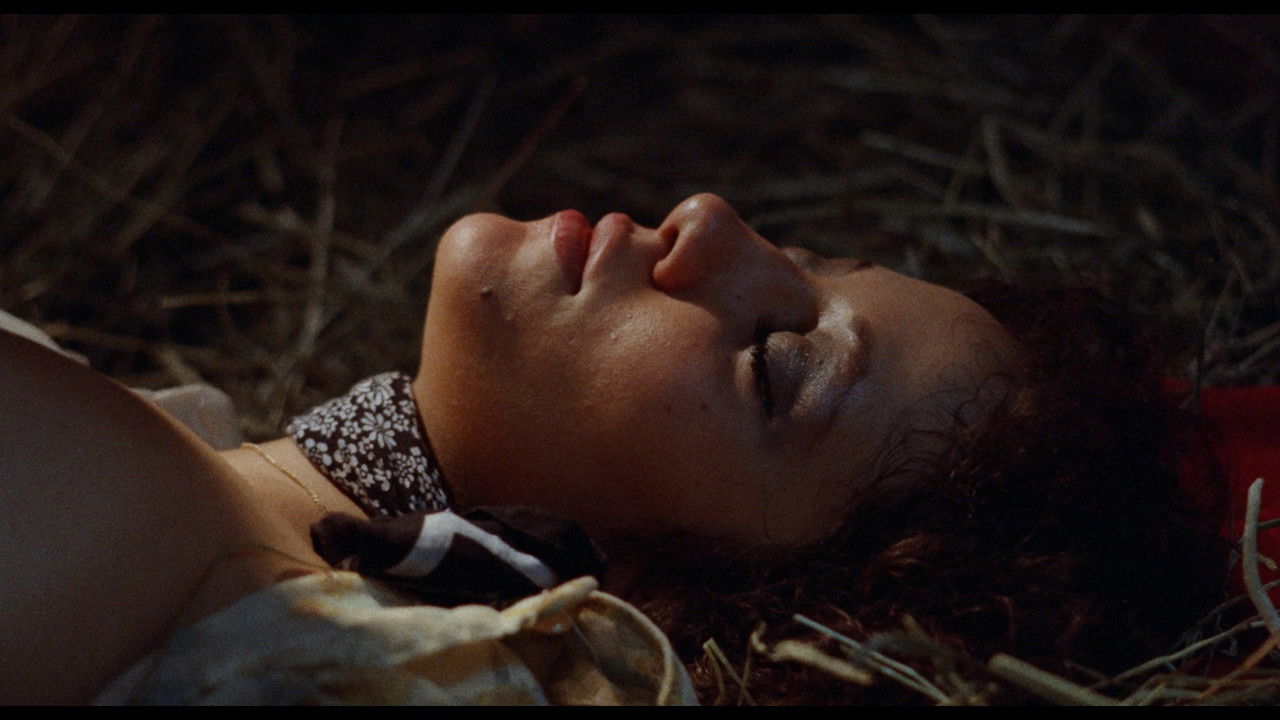 9 Lives of a Wet Pussy backdrop