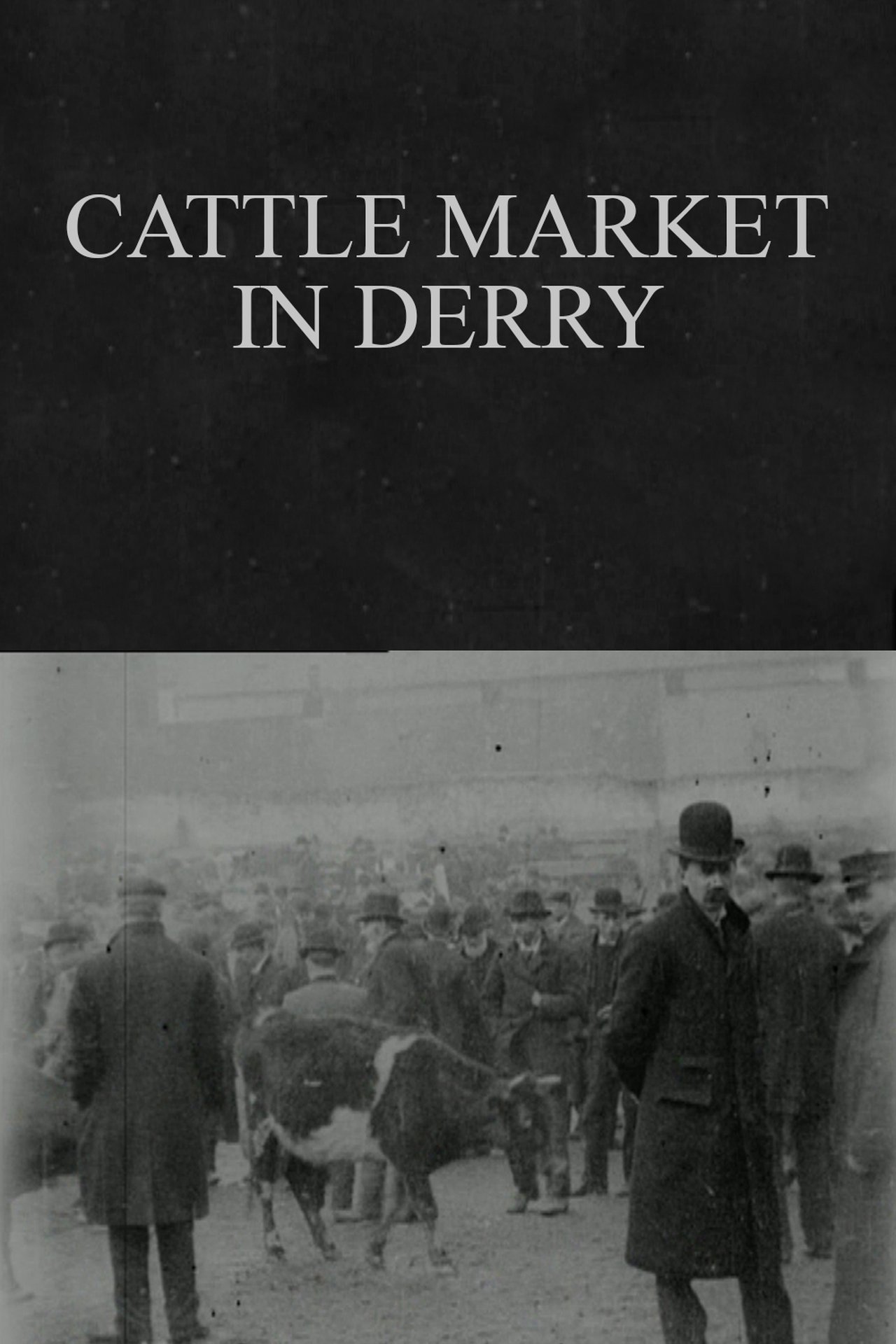 Cattle Market in Derry poster