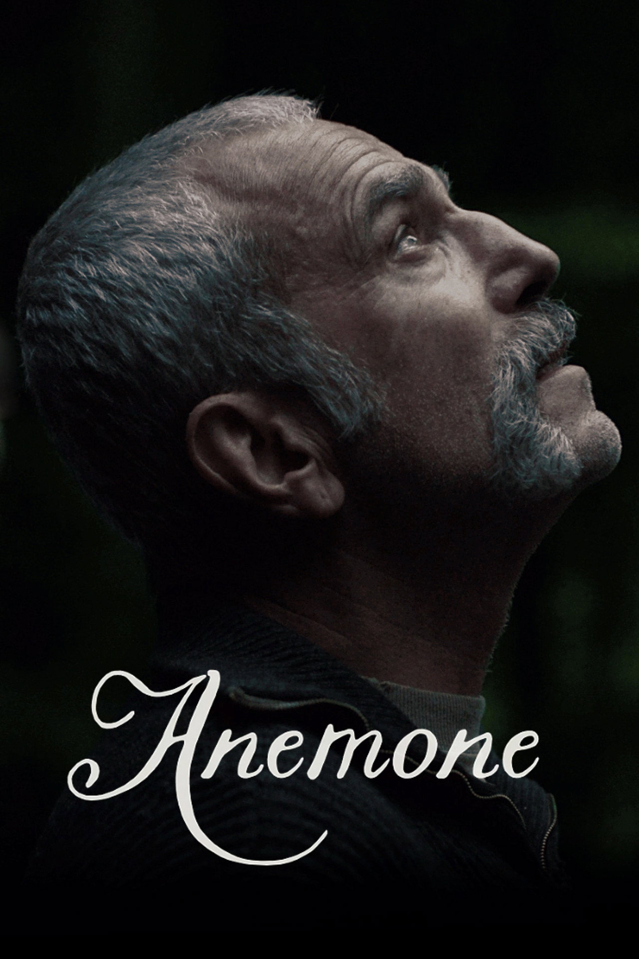 Anemone 2025 Dual Audio Hindi ORG 1080p 720p 480p BluRay x264 ESubs