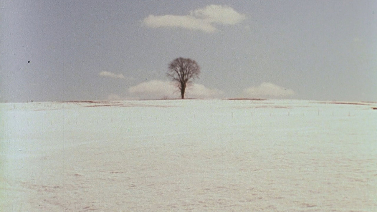 The Animal still 4