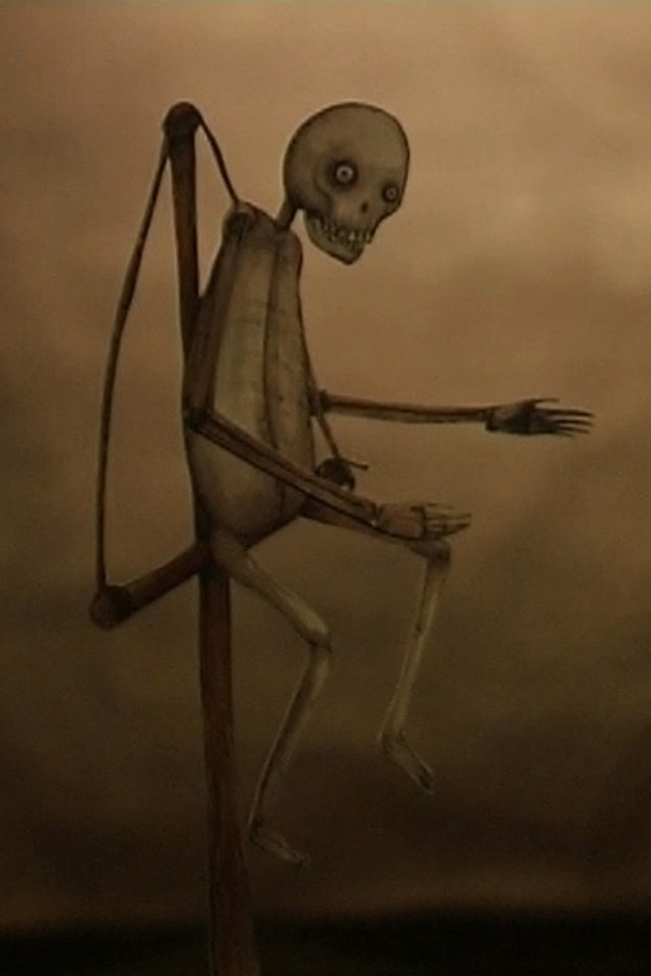 Il Galeone filmaffisch