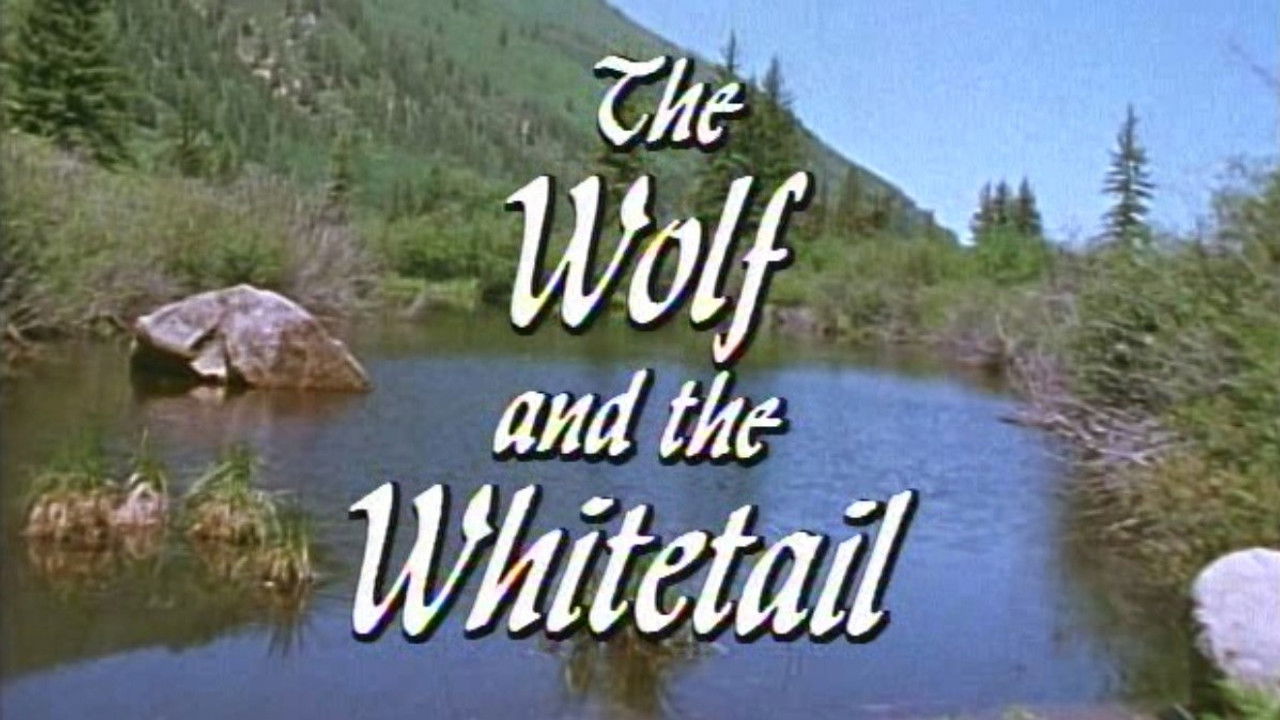 Marty Stouffer's Wild America — Épisode 8