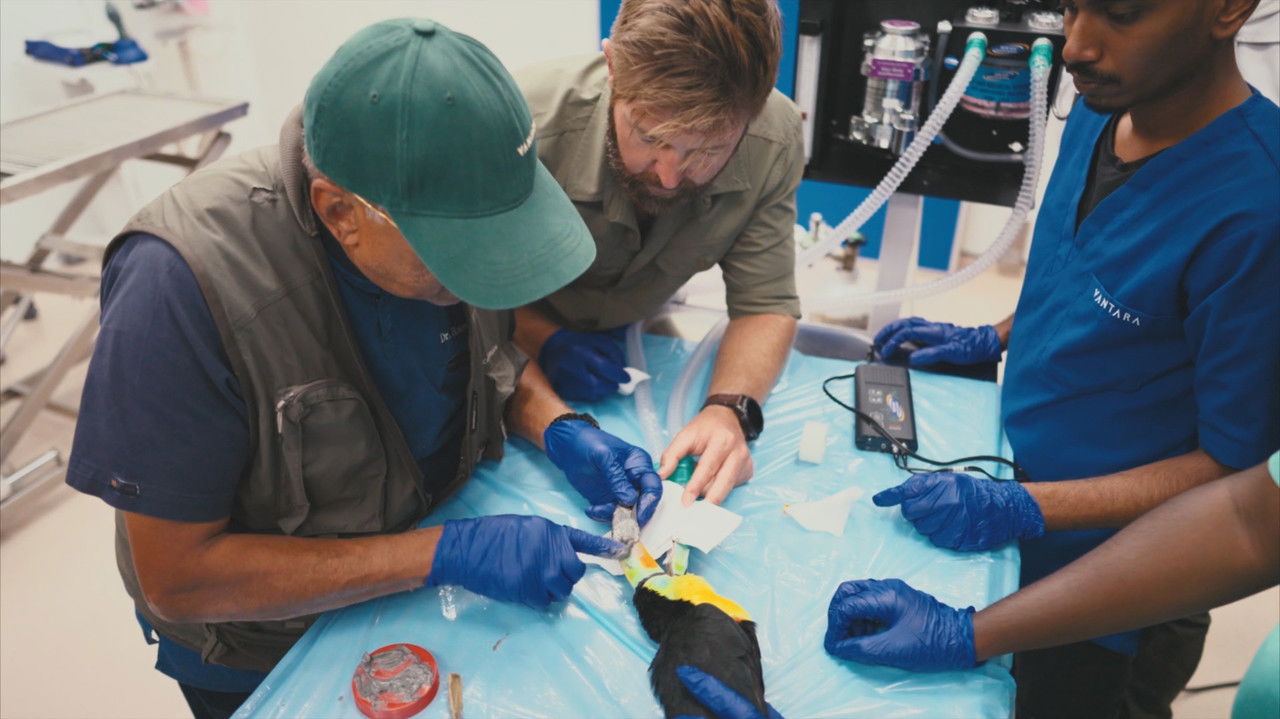 Vantara: Santuary Stories - Season 1 Episode 3 : Heroes of Healthcare