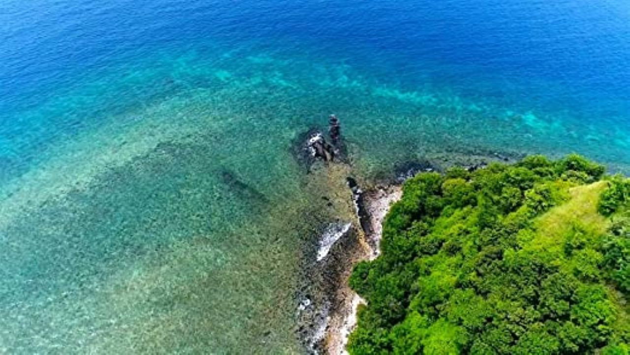 Bali Waves