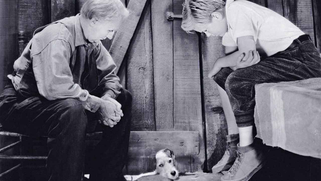 Peck's Bad Boy backdrop