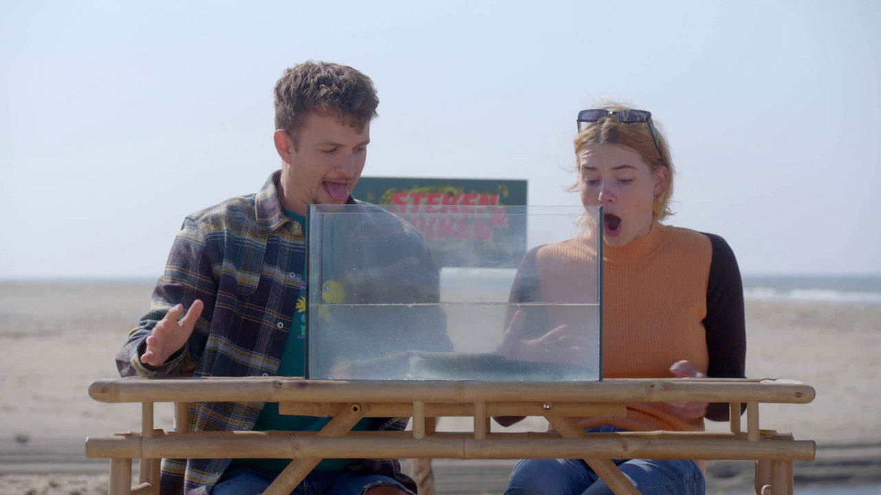 Steken en Prikken - Season 2 Episode 6 : Episode 6