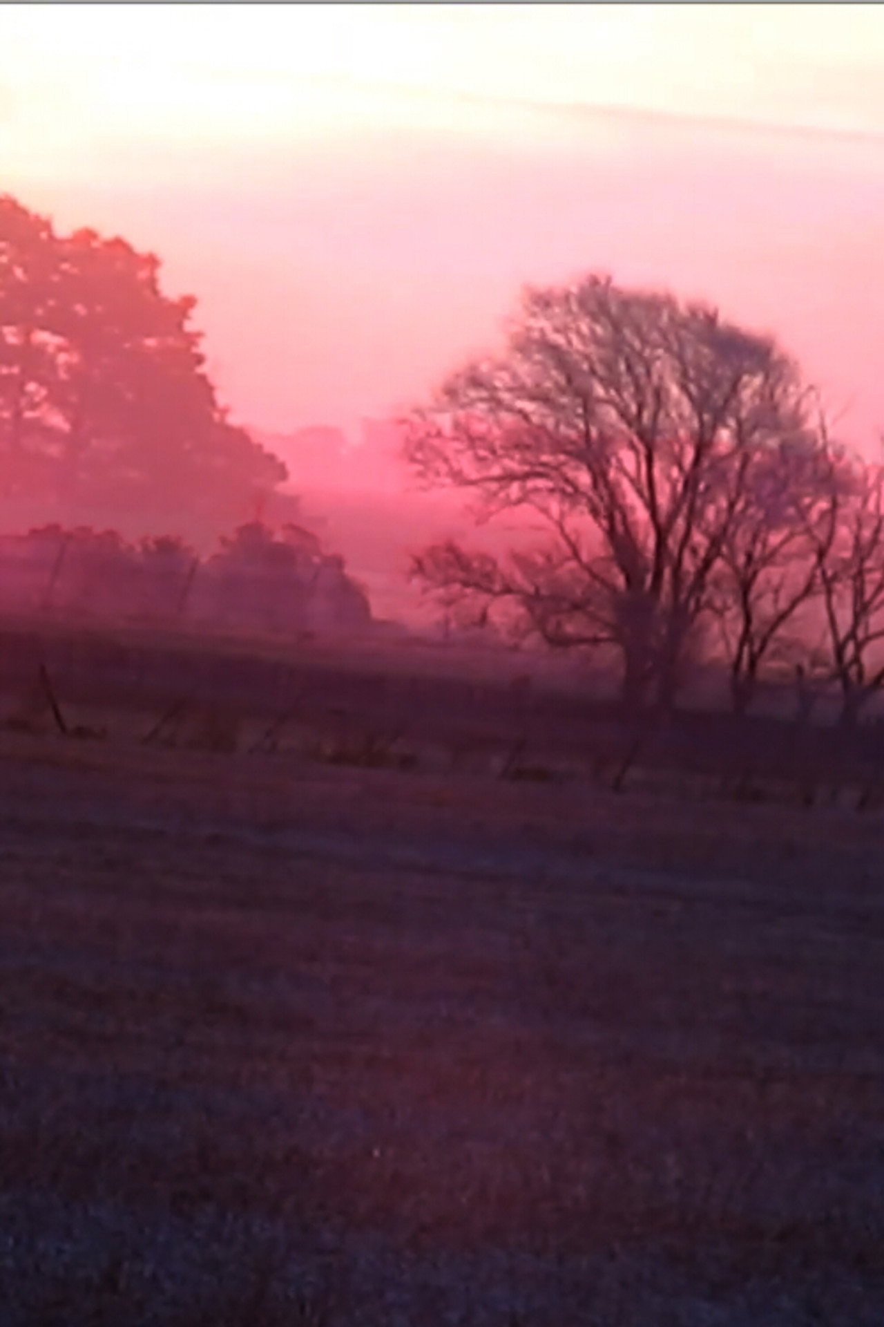 A R P filmaffisch