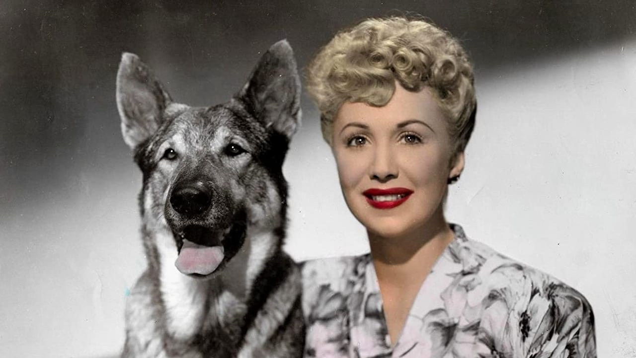 The Return of Rin Tin Tin Backdrop Image