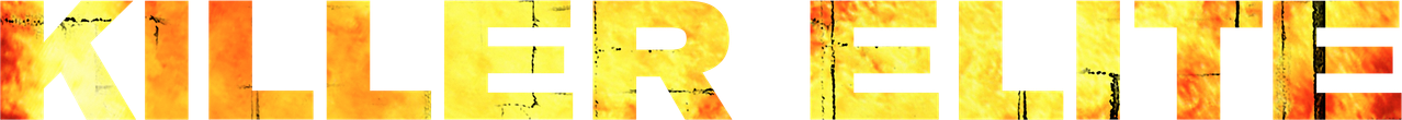 Профессионал